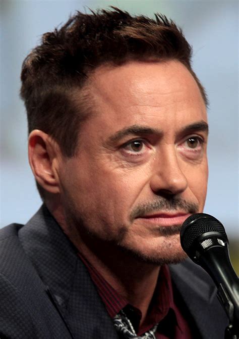 robert downey jr wikipedia.